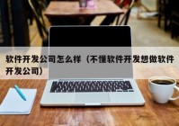 软件开发公司怎么样（不懂软件开发想做软件开发公司）