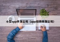 小型app开发公司（app软件开发公司）