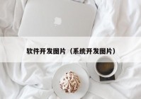 软件开发图片（系统开发图片）