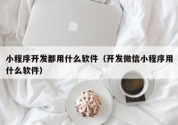 小程序开发都用什么软件（开发微信小程序用什么软件）