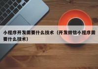 小程序开发需要什么技术（开发微信小程序需要什么技术）