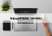 专业app开发团队（APP团队）