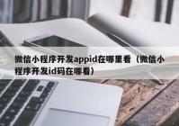 微信小程序开发appid在哪里看（微信小程序开发id码在哪看）