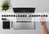 济南软件开发公司有哪些（济南的软件公司有哪些）