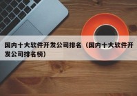 国内十大软件开发公司排名（国内十大软件开发公司排名榜）