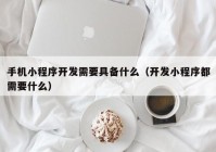 手机小程序开发需要具备什么（开发小程序都需要什么）