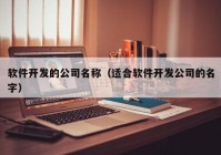 软件开发的公司名称（适合软件开发公司的名字）