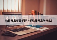 软件开发哪里学好（学软件开发学什么）