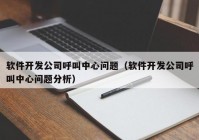 软件开发公司呼叫中心问题（软件开发公司呼叫中心问题分析）