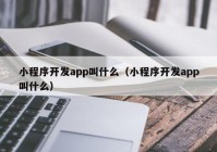 小程序开发app叫什么（小程序开发app叫什么）