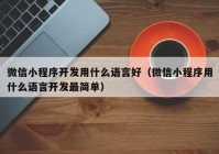 微信小程序开发用什么语言好（微信小程序用什么语言开发最简单）