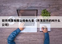 软件开发有限公司有几家（开发软件的叫什么公司）