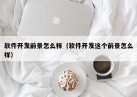 软件开发前景怎么样（软件开发这个前景怎么样）