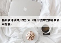 福州软件软件开发公司（福州软件软件开发公司招聘）