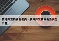 软件开发的资金去向（软件开发的资金去向怎么查）