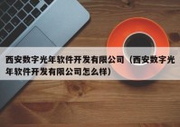 西安数字光年软件开发有限公司（西安数字光年软件开发有限公司怎么样）