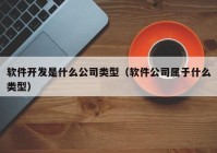 软件开发是什么公司类型（软件公司属于什么类型）